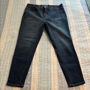 Torrid Premium Sky High Skinny Jeans